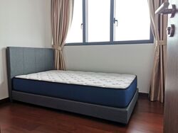 Normanton Park (D5), Apartment #556023591